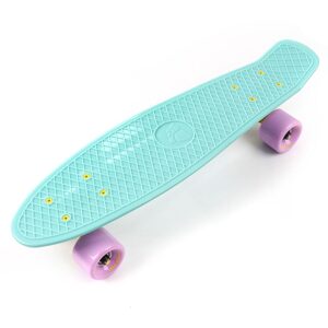 Meteor Pennyboard Meteor 23694 mátová - růžová