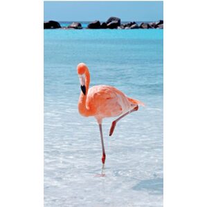 Lovely Home Plážová osuška Lovely Home 12047 Flamingo