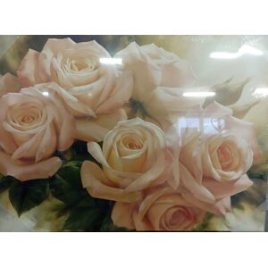 Obraz na plátně 50x70/3cm Bílé růže